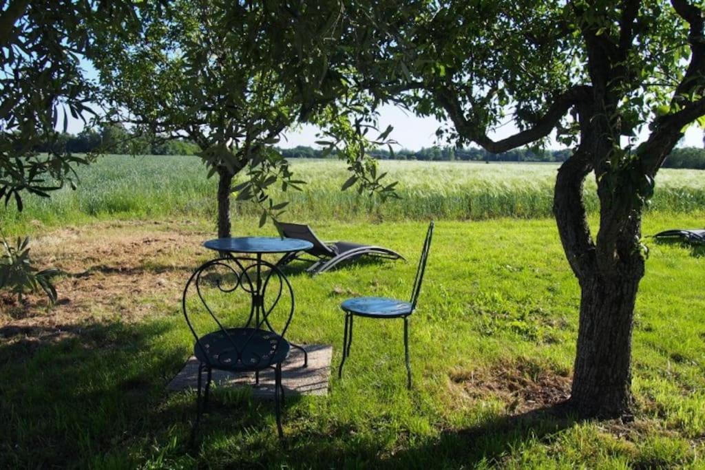 La Case A Jane, Gite Familial En Pays Tarnais Coufouleux Kültér fotó